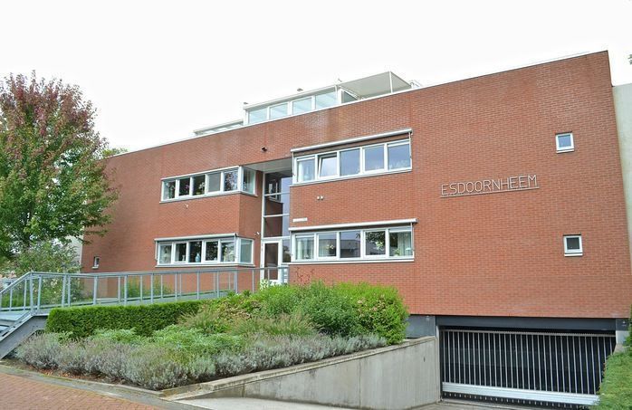 Esdoornlaan — Beilen