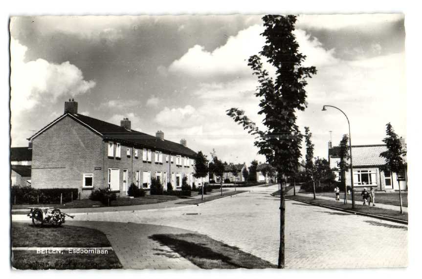 Esdoornlaan — Beilen
