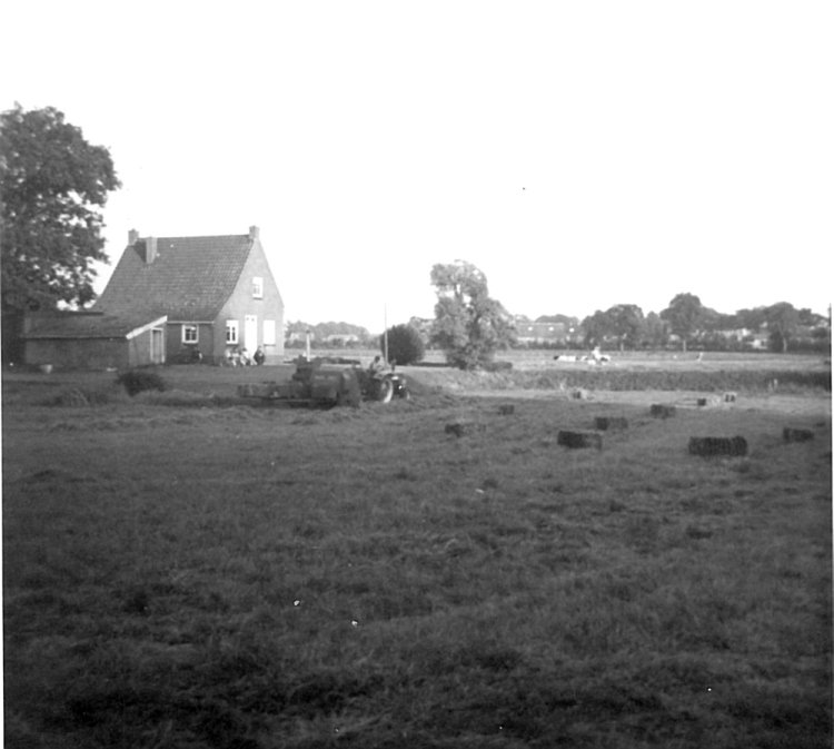 Eeserstraat — Borger