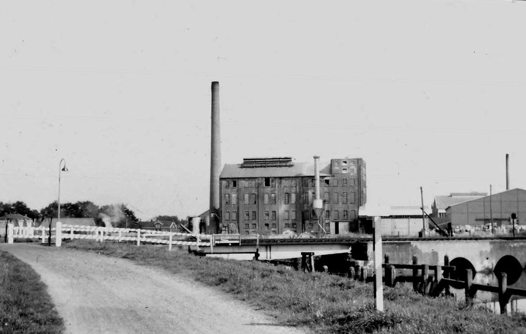 Beukenlaan — Coevorden