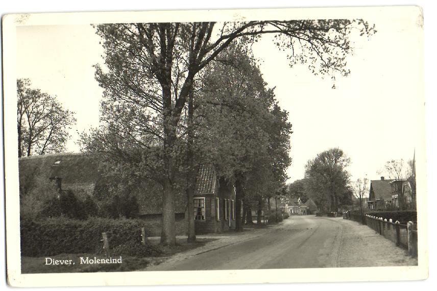 Moleneind — Diever