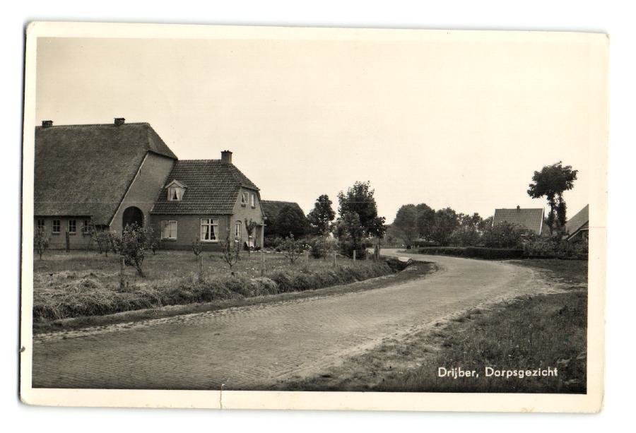 Panorama — Drijber