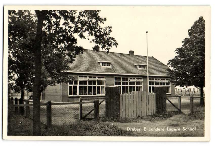 Scholen — Drijber