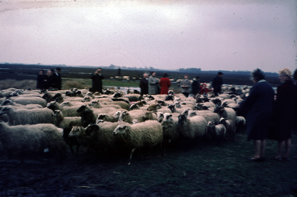 Panorama — Dwingeloo
