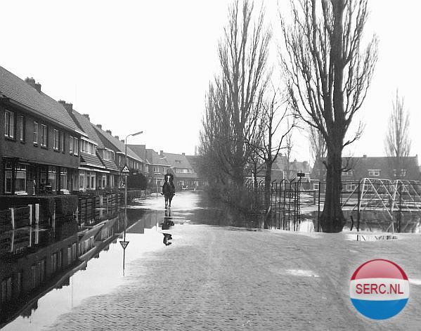 Ambonstraat — Meppel