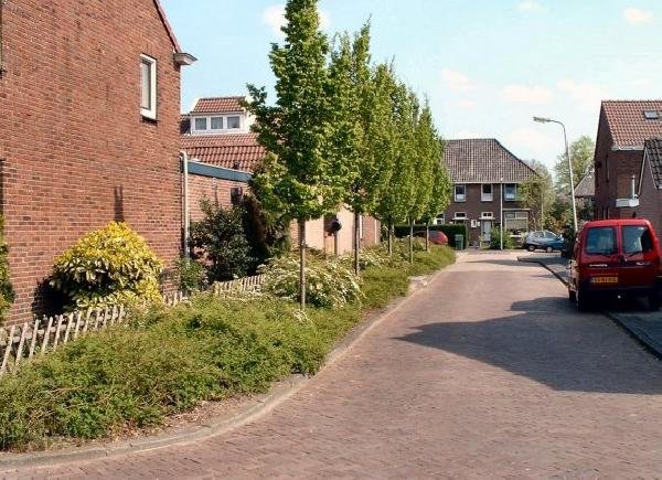 Asterstraat — Meppel