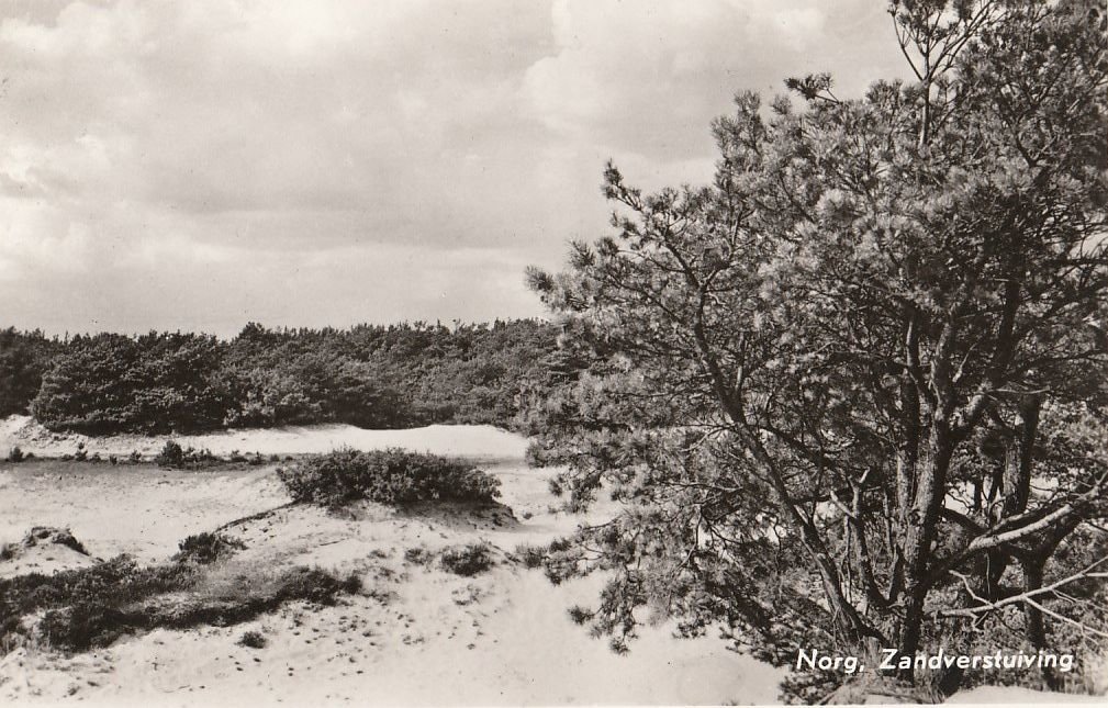 Oosterduinen — Norg
