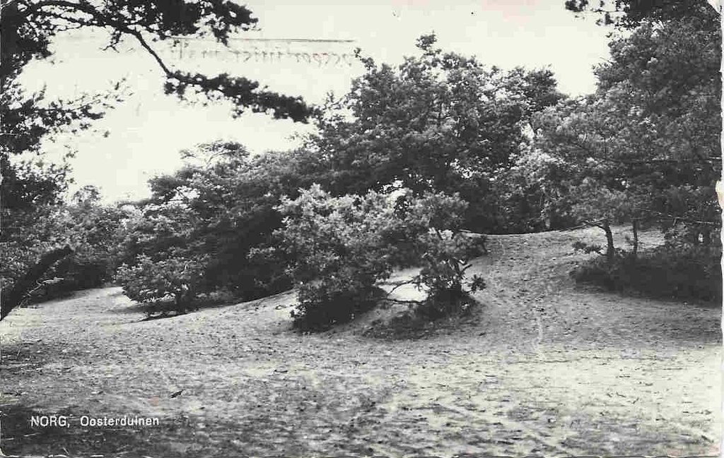 Oosterduinen — Norg