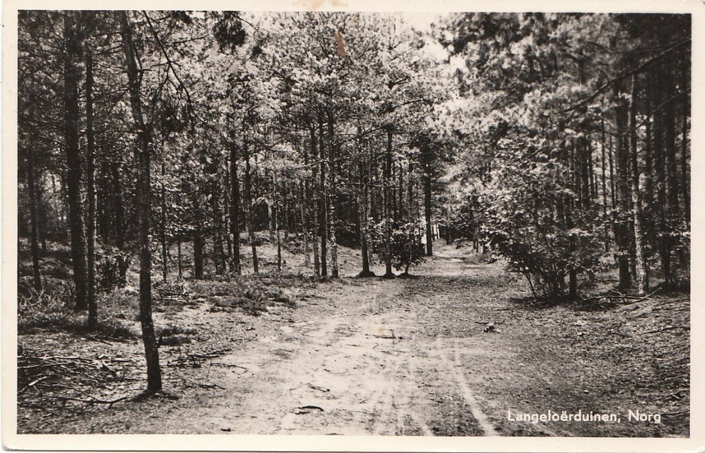 Langeloërduinen — Norg
