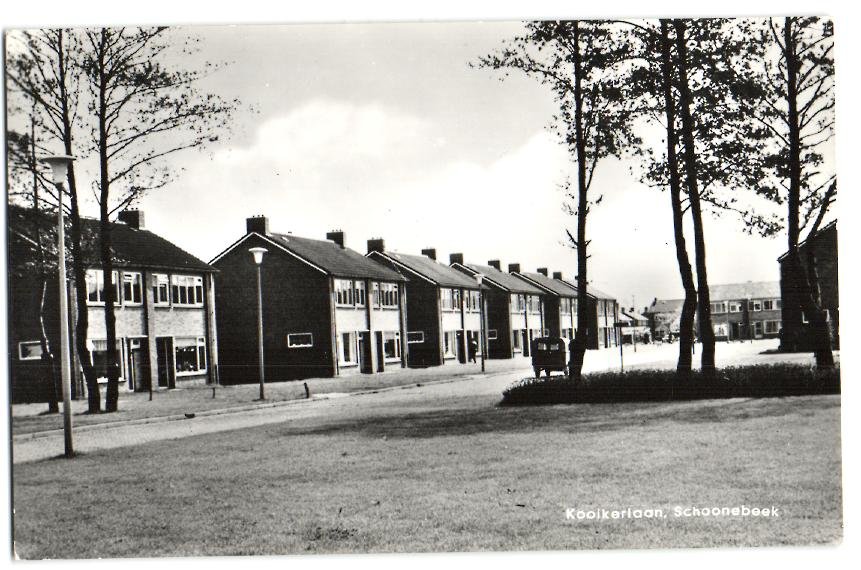 Kooikerlaan — Schoonebeek