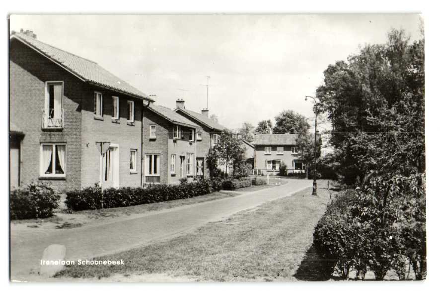 Irenelaan — Schoonebeek