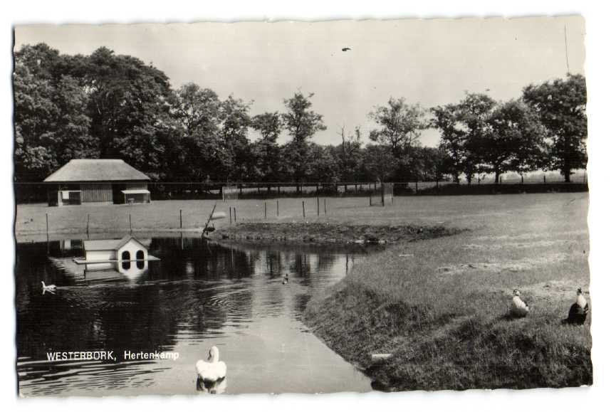 Hertenkamp — Westerbork