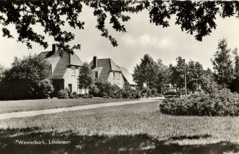 Lindelaan — Westerbork