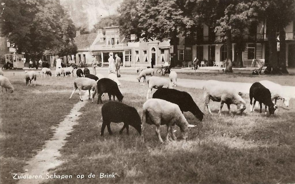 Brink — Zuidlaren