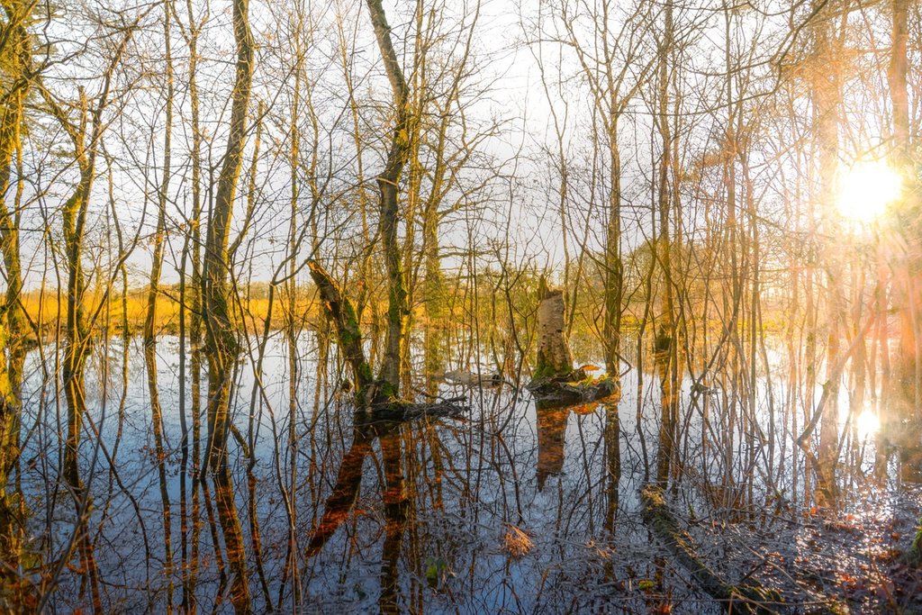 Overige foto's — Zuidwolde