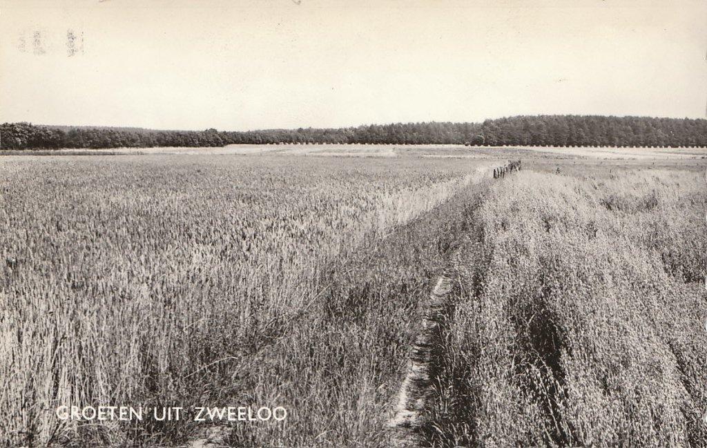 Panorama — Zweeloo