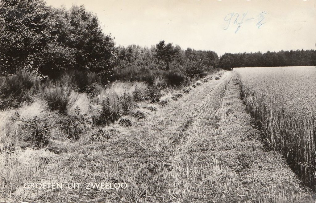 Panorama — Zweeloo