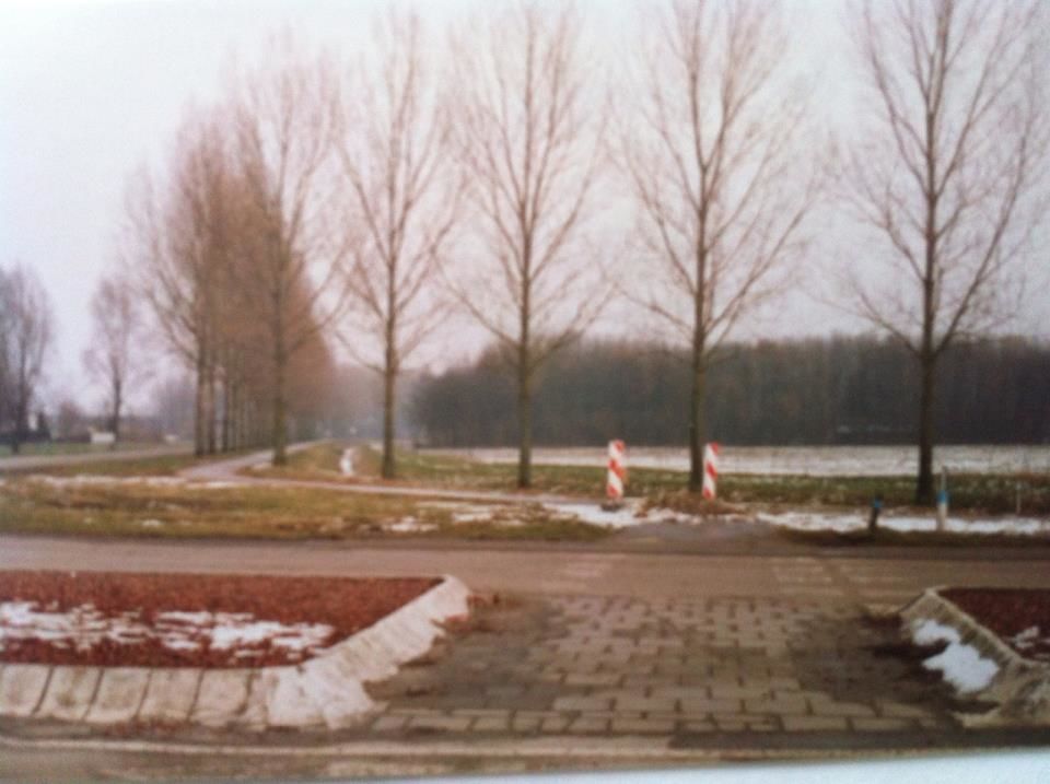 Parksingel — Biddinghuizen