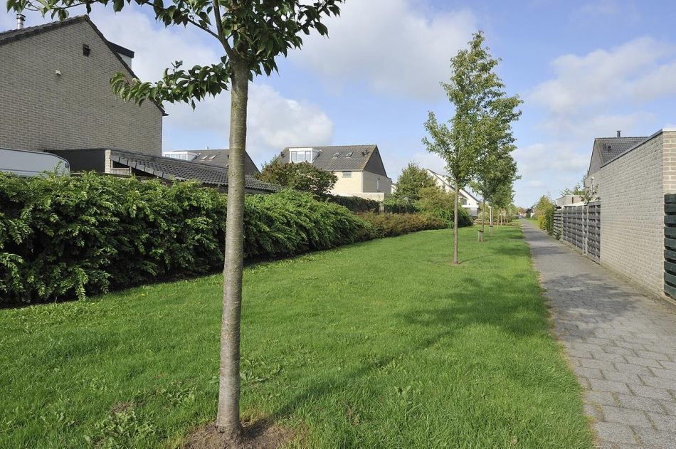 Beiersgulden — Dronten