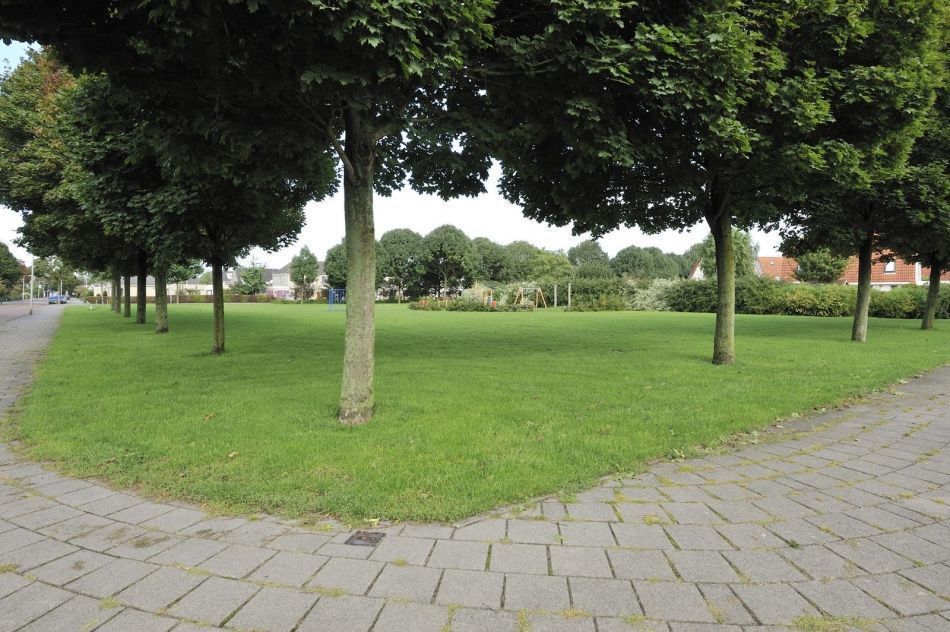 De Konick — Dronten