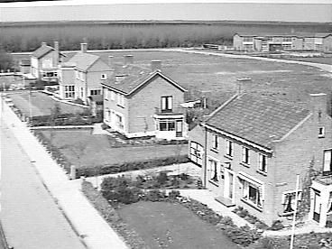 Boslaan — Emmeloord