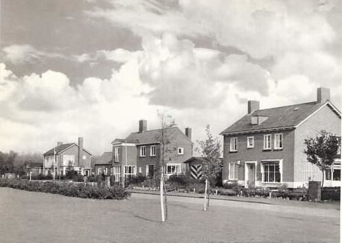 Boslaan — Emmeloord