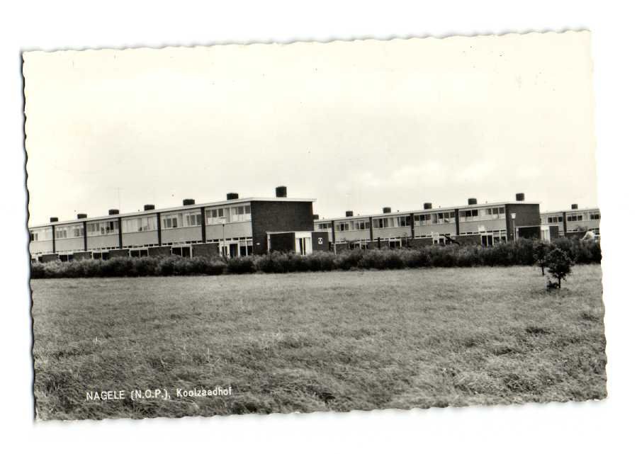 Koolzaadhof — Nagele