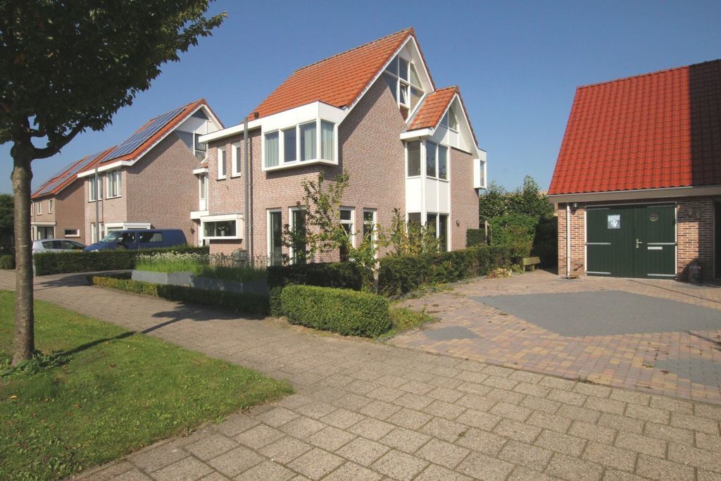 Groene specht — Zeewolde