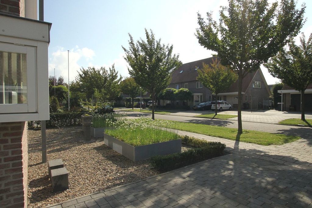 Groene specht — Zeewolde