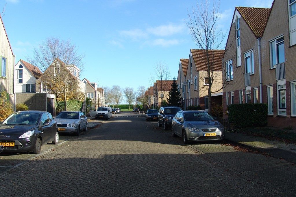 Goudhaver — Zeewolde