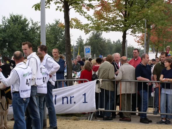 Feesten — Zeewolde