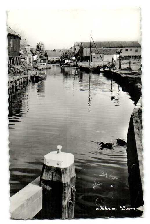 Boorn — Akkrum