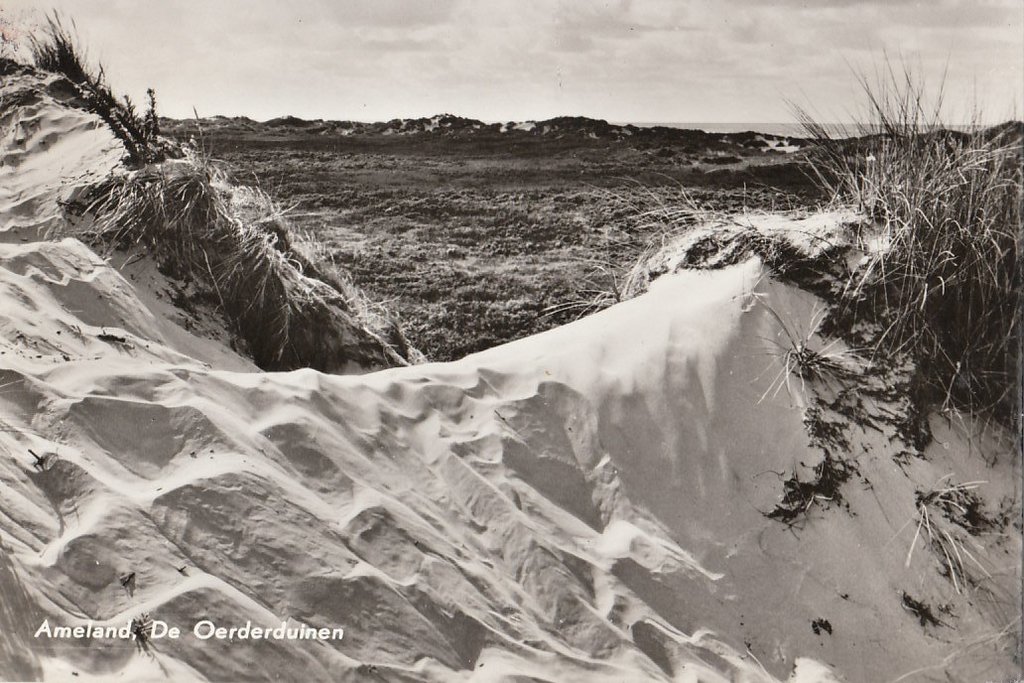 Het Oerd — Ameland