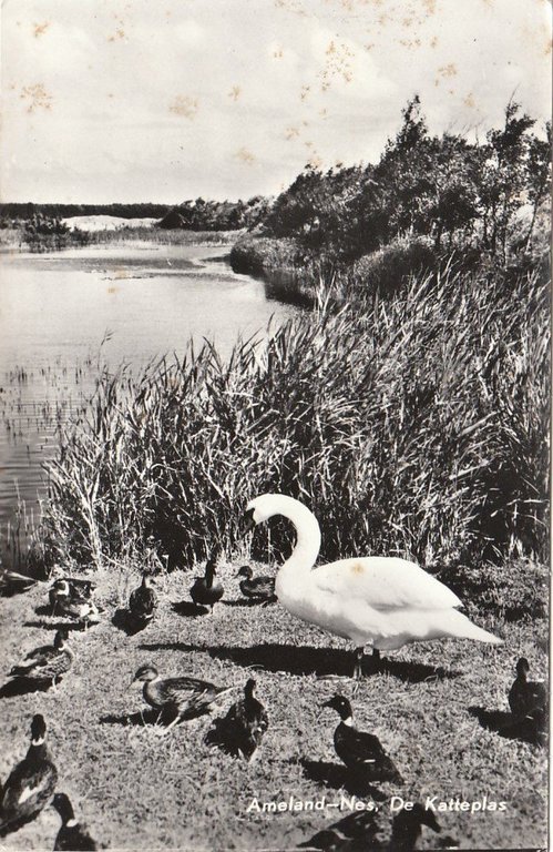 Nes — Ameland