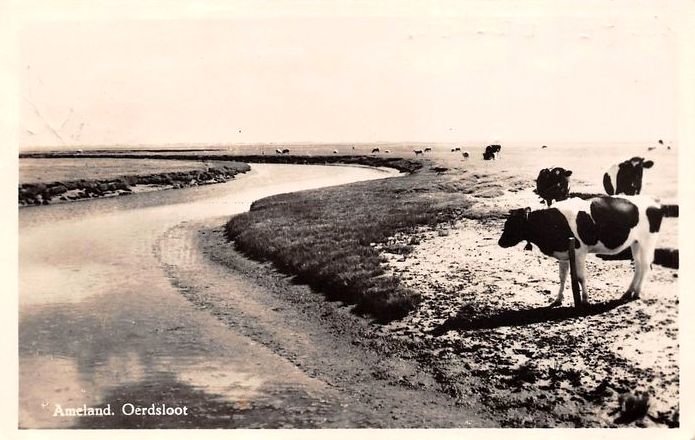 Het Oerd — Ameland