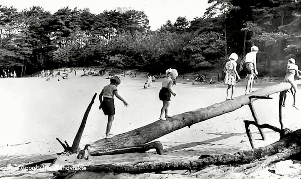 Duinen Zathe — Appelscha