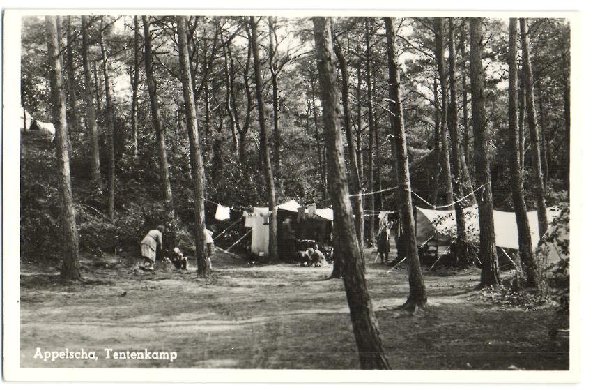 Campings — Appelscha