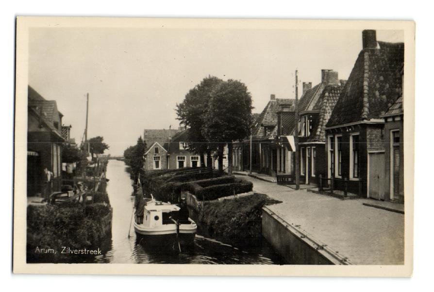Zilverstreek — Arum