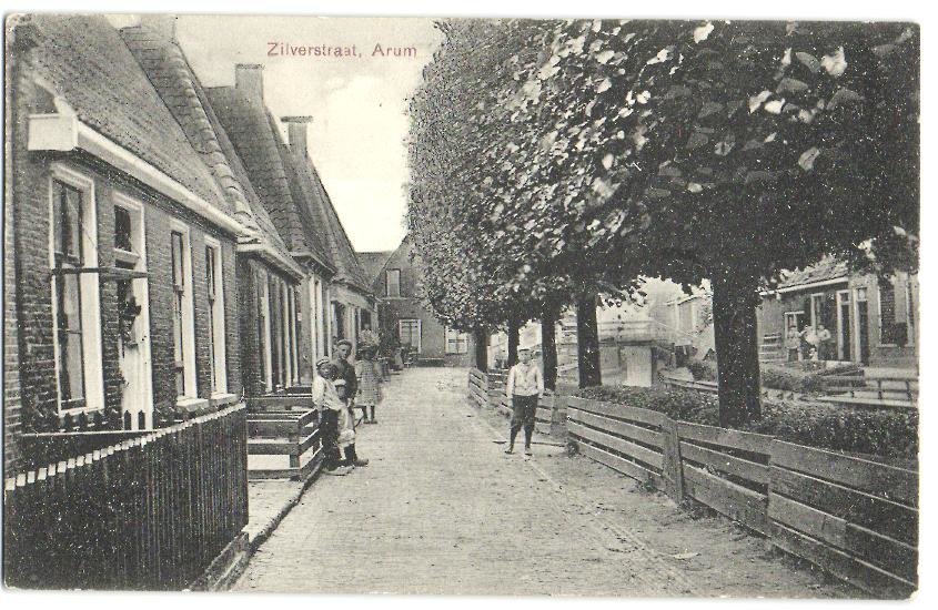 Zilverstreek — Arum
