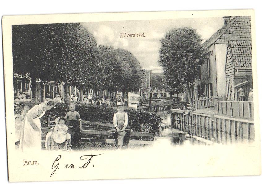 Zilverstreek — Arum