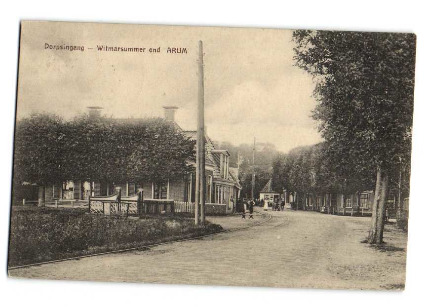 Witmarsummerend — Arum