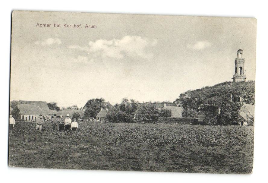 Panorama — Arum