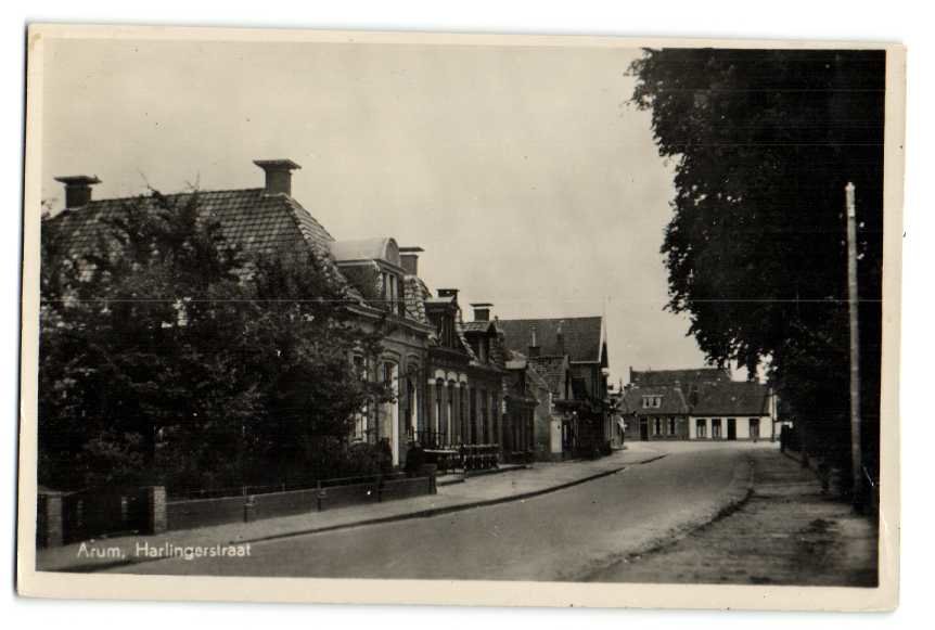 Harlingerstraat — Arum
