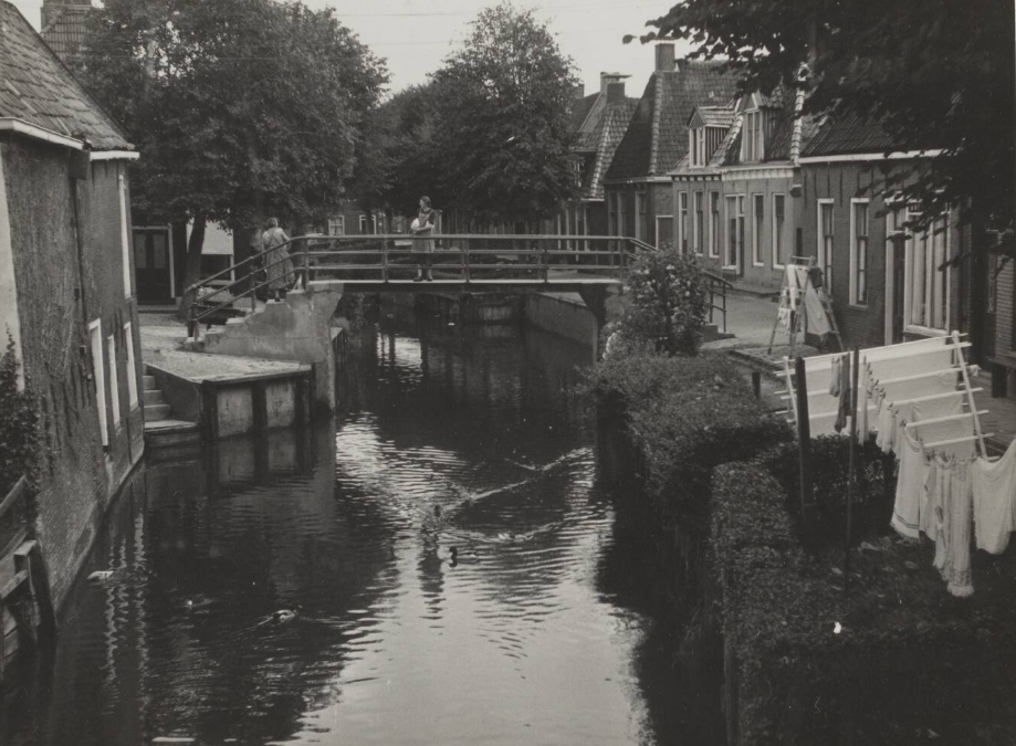 Zilverstreek — Arum