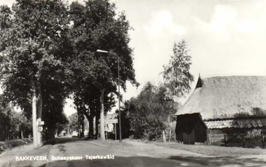 Schaapskooi Tsjerkawald — Bakkeveen