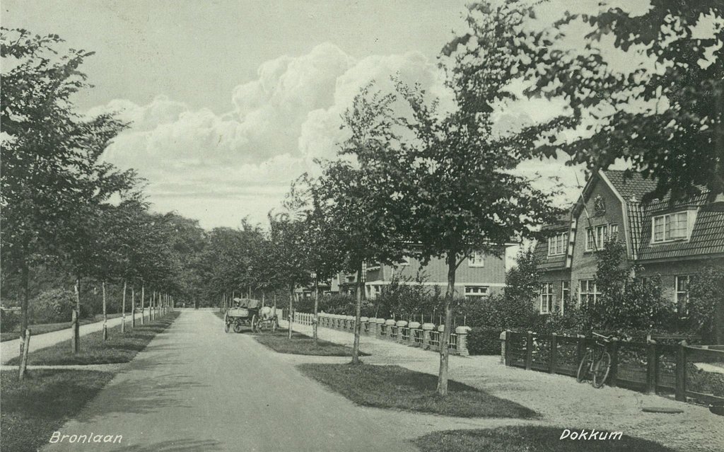 Bronlaan — Dokkum