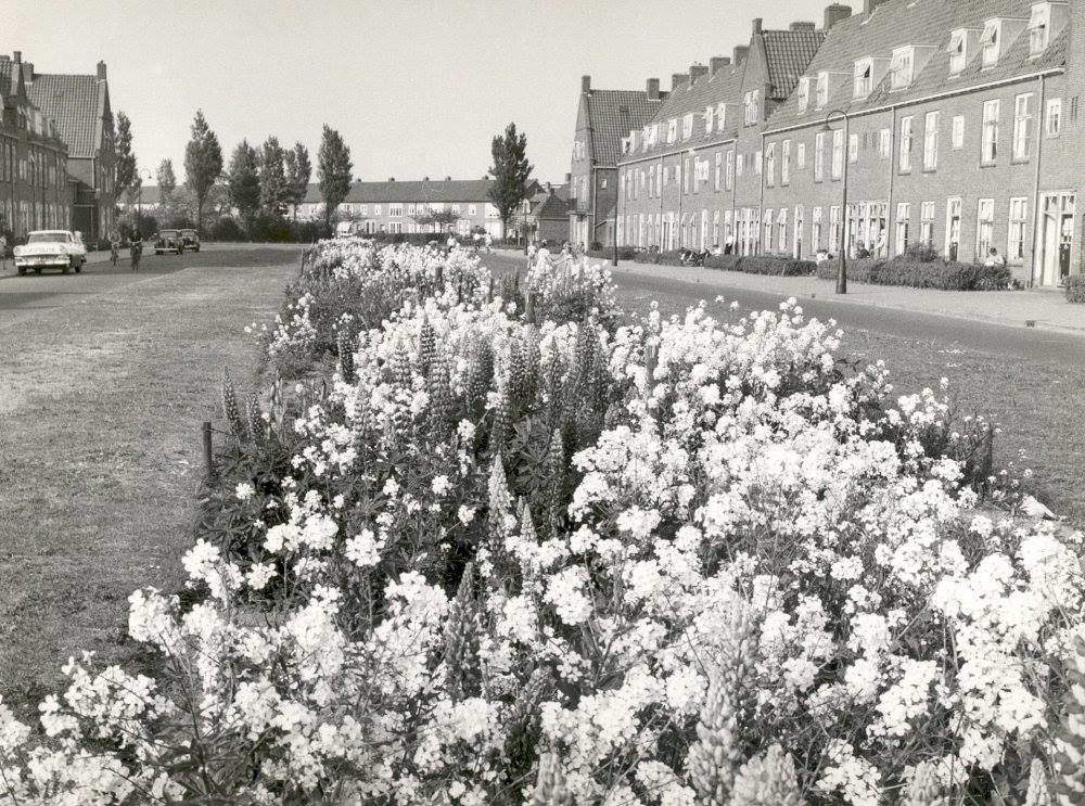 Archipelweg — Leeuwarden