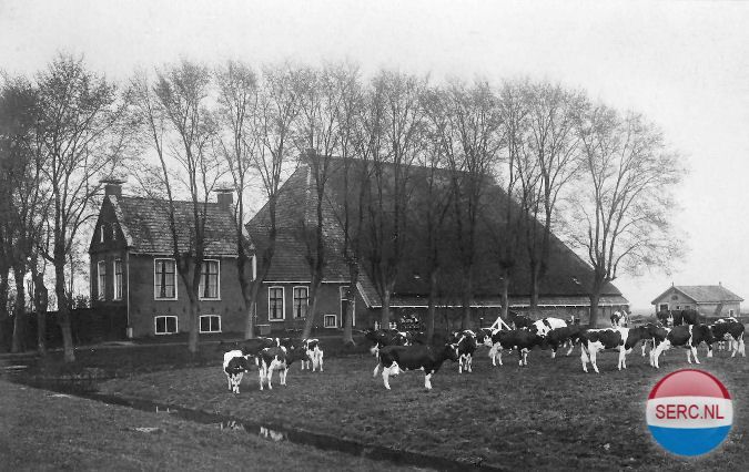 Goeman Borgesiuslaan — Sneek