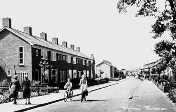 Merelstraat — Wolvega