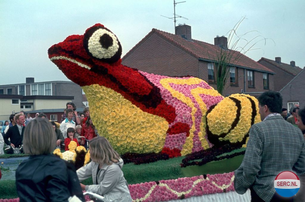 Bloemencorso — Aalst